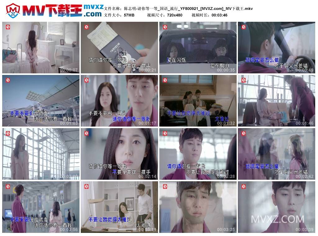 陈志明-请你等一等_国语_流行_YF800921